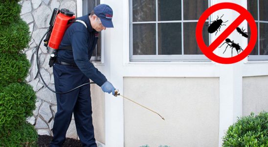 Fatsa Dezenfeksiyon böcek ilaçlama ve haşere kontrolü — ilaclama-tr.com